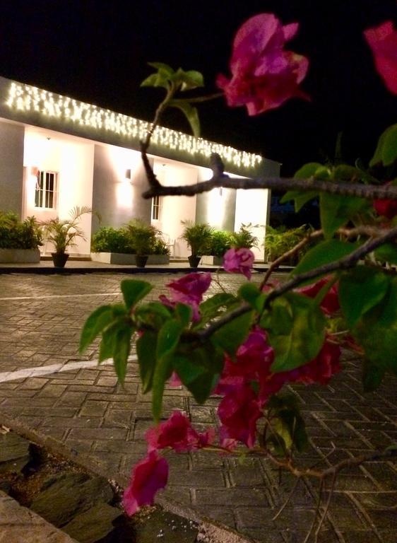 Albergo El Pulpo, Bayahibe Exteriör bild